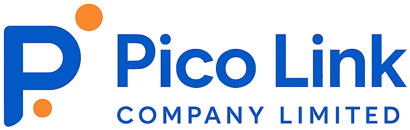 PICO LINK COMPANY LIMITED